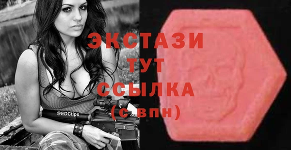 индика Рославль