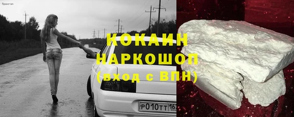 мдпв Заводоуковск
