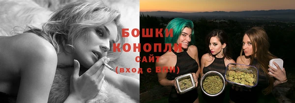шишки Заволжск