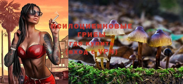 герыч Елизово