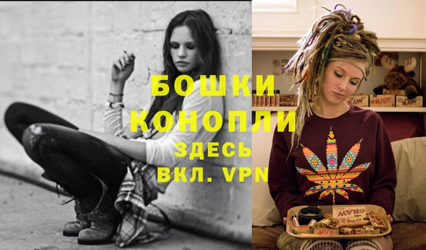 шишки Заволжск