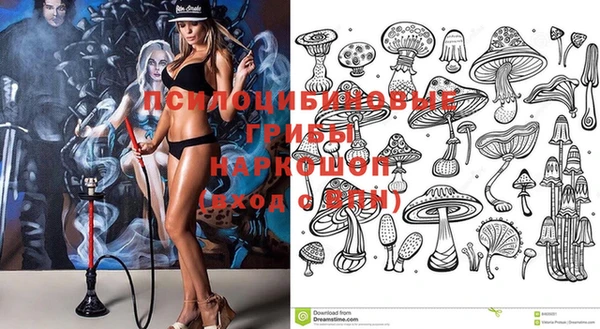 шишки Заволжск