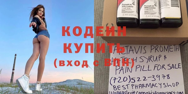 шишки Заволжск