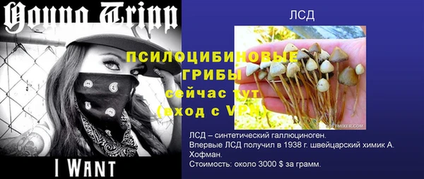 шишки Заволжск