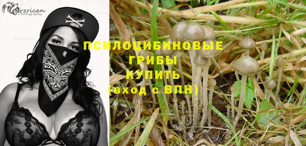 шишки Заволжск