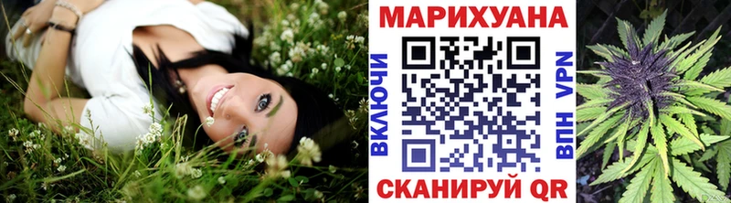 купить наркоту  Калачинск  kraken   Бошки Шишки THC 21% 